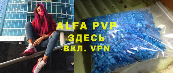 индика Кинешма