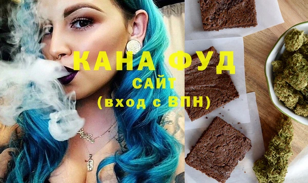 индика Кинешма