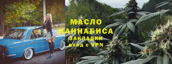 индика Кинешма