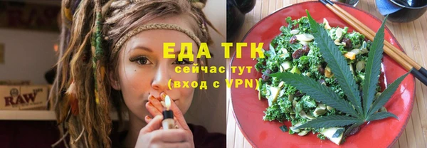 индика Кинешма