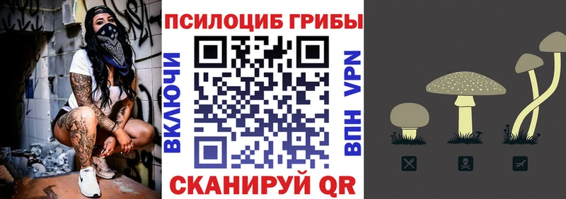 Галлюциногенные грибы ЛСД  ОМГ ОМГ tor  Абаза 